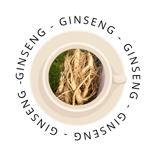 GINSENG  – Capsule compatibili Lavazza® A MODO MIO®